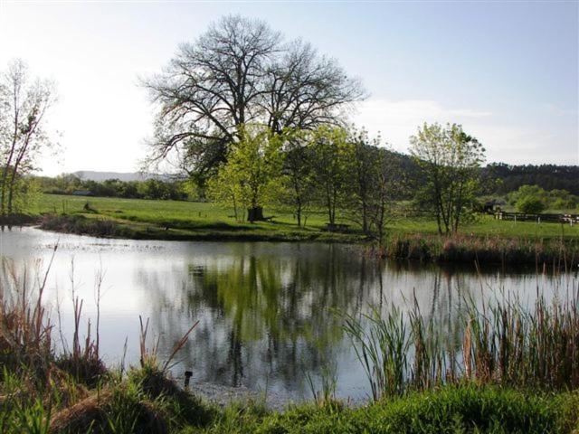 Elk Creek Resort Piedmont Luaran gambar